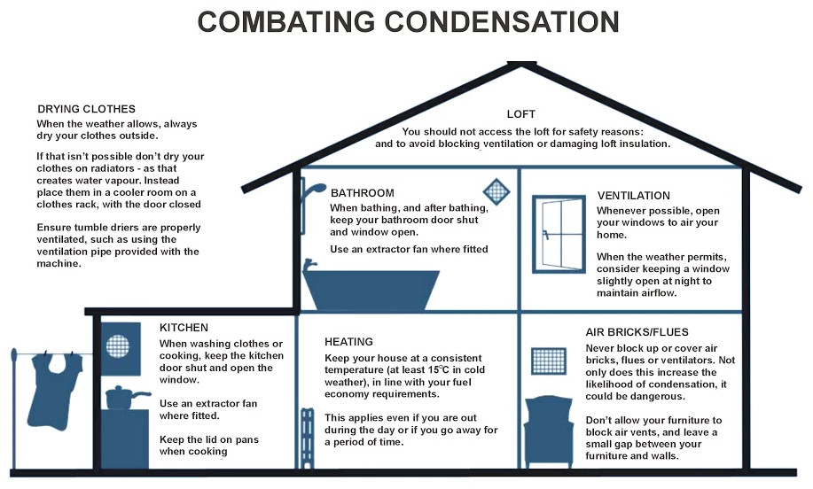 Click here to expand this view